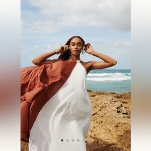 Anthropologie Brown and White Midi Dress